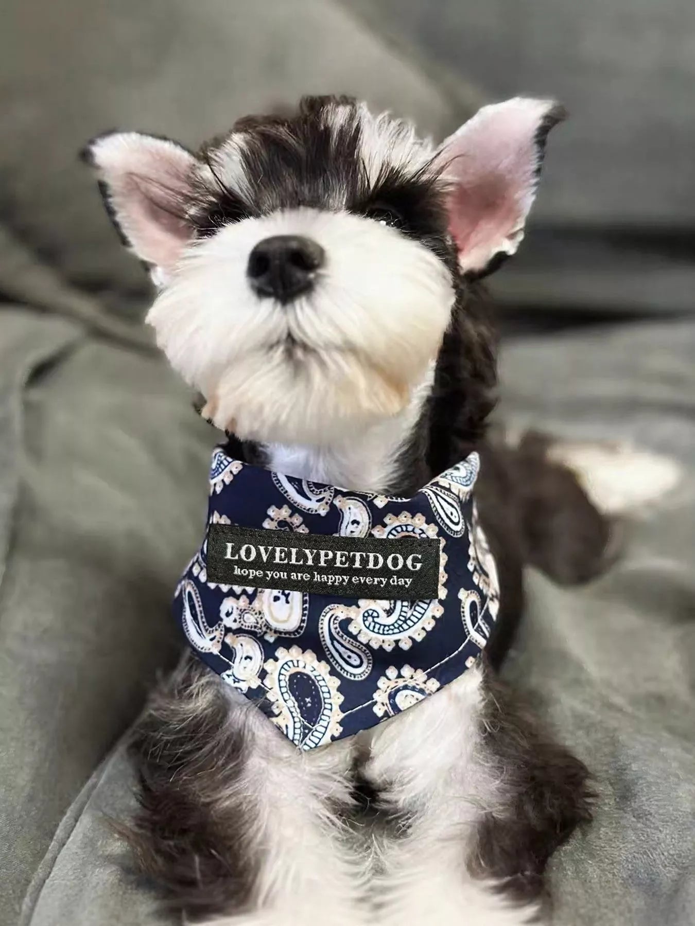 08f94811a7a443ecb9e565f76679843e-Max-Origin