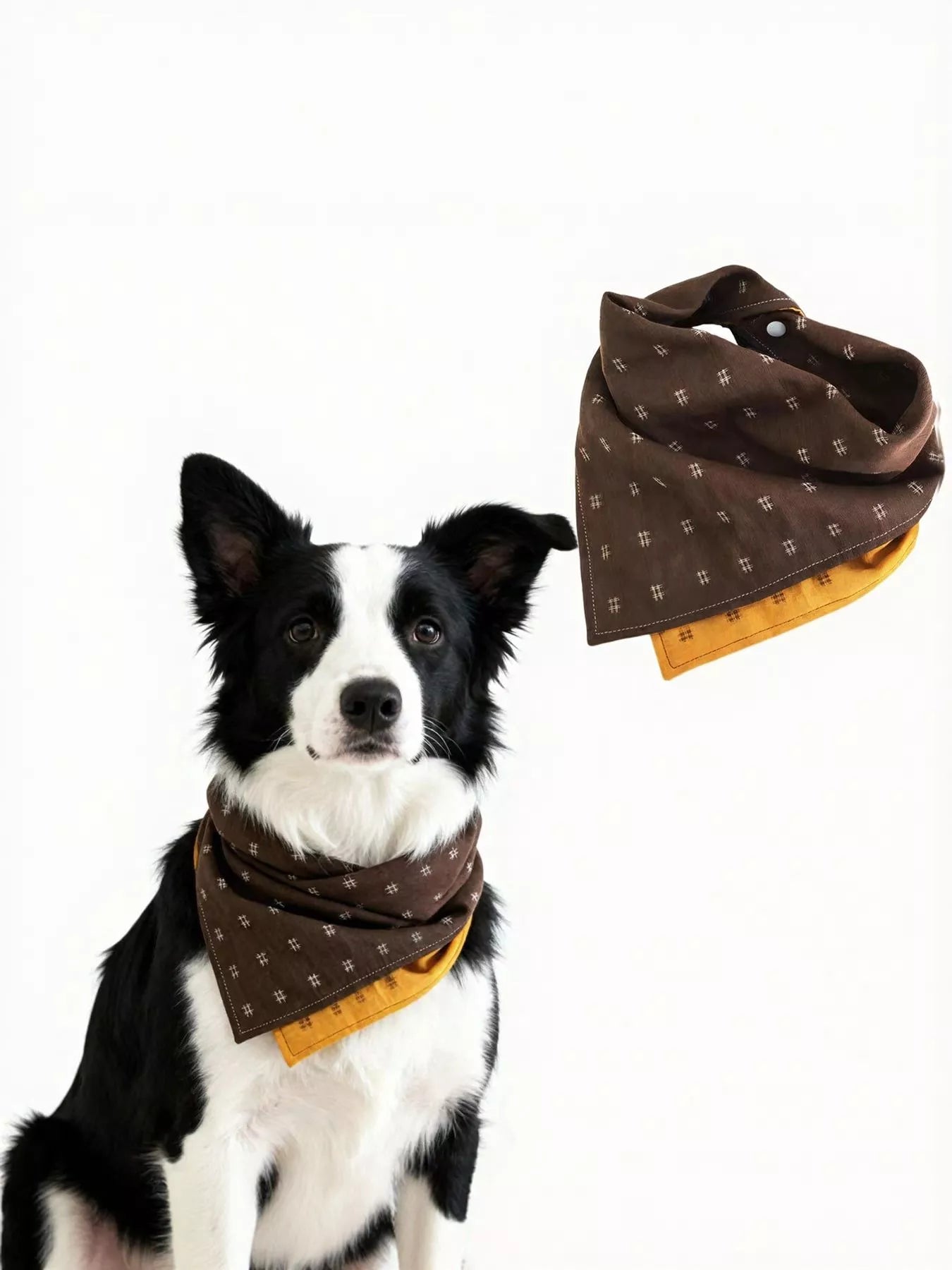 5488f1fb-77d8-4f23-80c0-ddc3080c9134-Max-Origin