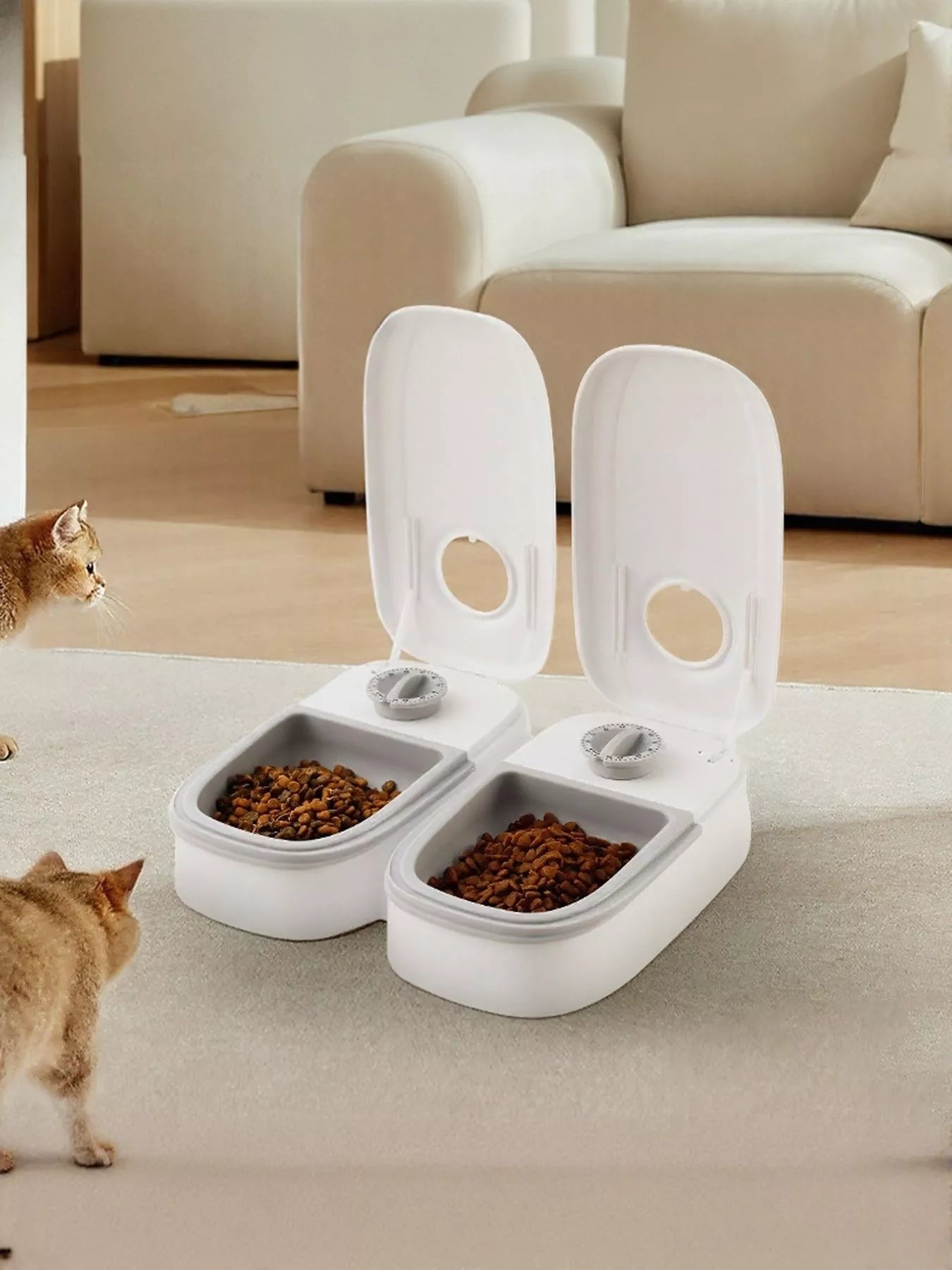 7cc35831-ec63-4da9-8664-e2919d35b80a-Max-Origin