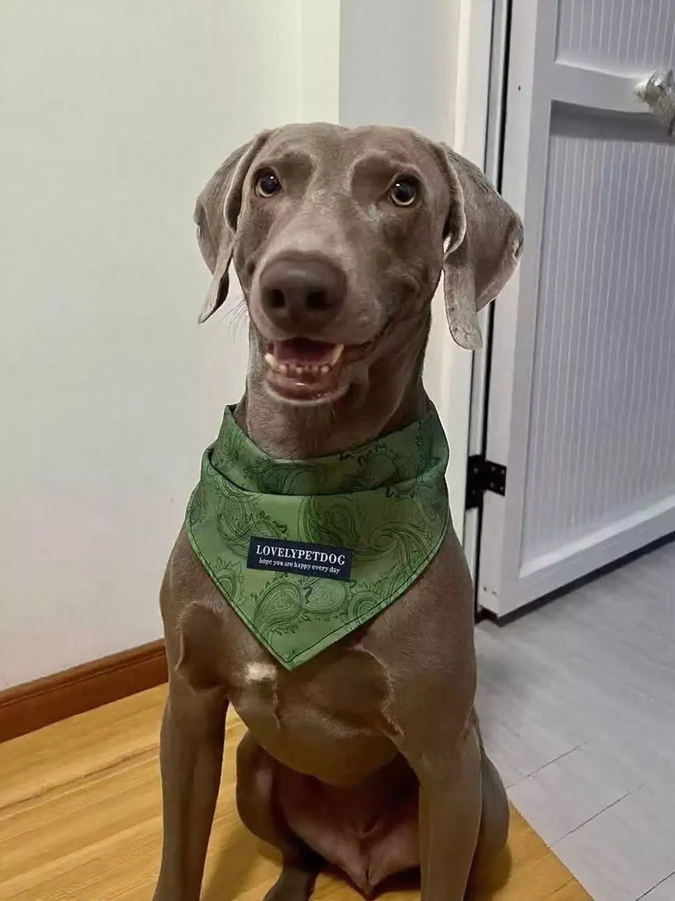 a1708d163bd34ed2ad18cf288725ffeb-Max-Origin